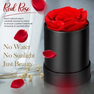 1 Piece Peserved Real Rose in