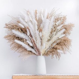 2 Sets Dried Pampas Grasses Co