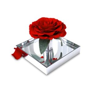 100% Natural Preserved Rose in