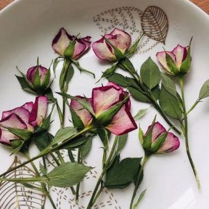 120pcs Pressed Rose with Stems