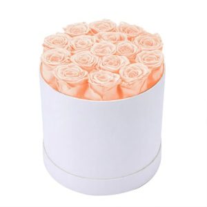 16PCS Natural Real Peserved Ro