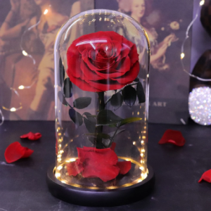 14*22cm LED Shining Little Pri