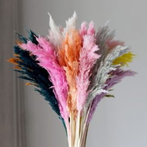 16-20PCS Dried Reed Stems Natu