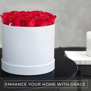 12PCS Natural Rose in Round Bo