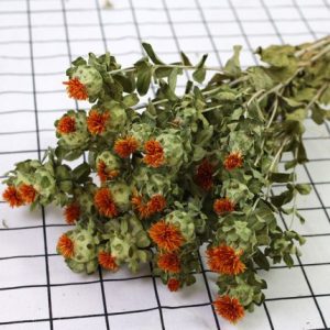 2 Bunches Orange Pineapple Flo