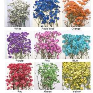 120pcs Pressed Babysbreath Emb