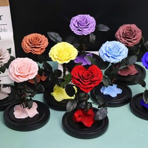 12*20cm Heart-shaped Prince Pr