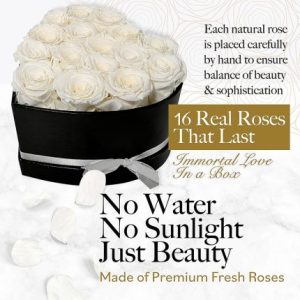 12-13PCS Natural Peserved Rose