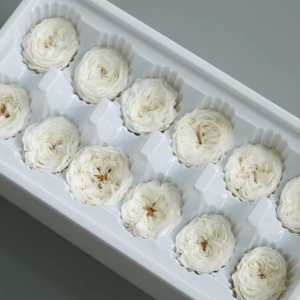 12pcs 3-4cm Preserved Real Ros