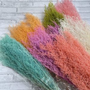 160g Wholesale Preserved Artem