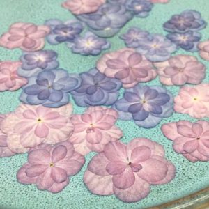 120pcs Pressed Double Petal Hy