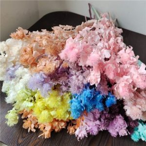 2 Bunches Preserved Orange Pin