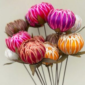 10pcs Dried Peony Ball Dried F