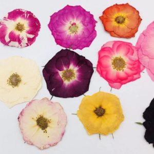 120pcs Pressed Rose Head Whole