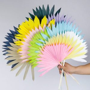 10pcs Preserved Palm Leaf Eter