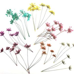 120pcs Pressed Lace Flower wit