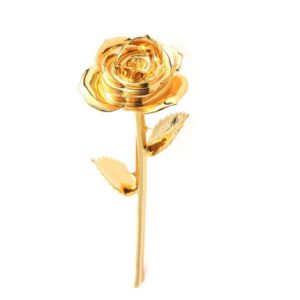 10pcs 24K Gold Plated Rose Pai