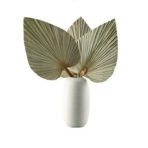 10pcs Natural Dried Palm Leaf