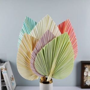 10pcs Dried Palm Leaf Bleach C