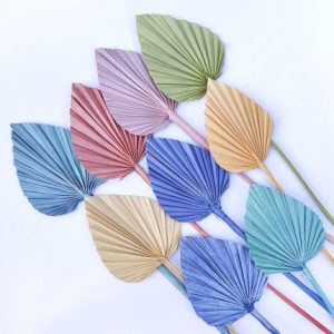 10pcs Dried Mini Colorful Palm