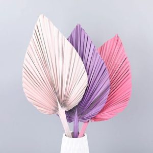 10pcs Dried Palm Leaf Painted