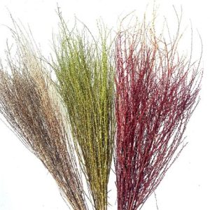 10 Stems Preserved Snow Grass