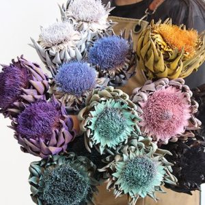 2 Stems Dried Artichoke Light