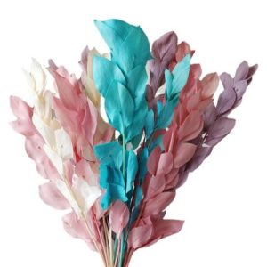 10 Stems Preserved Orange Leav