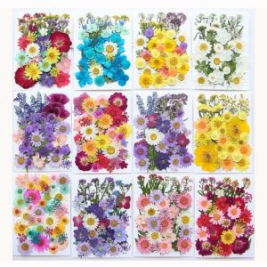 2 Packs Pressed Natural Flower