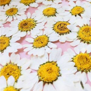 120pcs Pressed White Crystal C